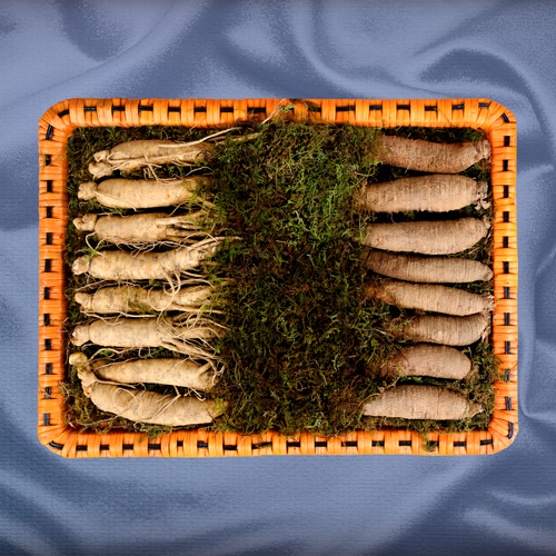 더덕수삼세트 9호 1.5kg(20~24뿌리)