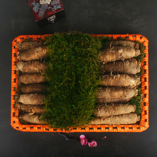 더덕향기채반 9호 3kg(55-75뿌리)